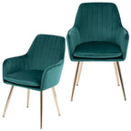 Velvet Dining Chair Set of 2 - Modern Mid-Back Accent Chairs