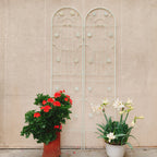 2 Pack Metal Garden Trellis for Climbing Plants