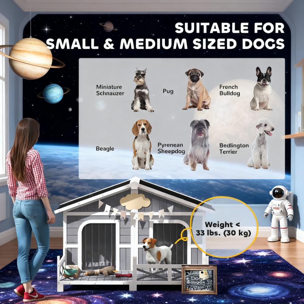 Dog Kennel House Outdoor