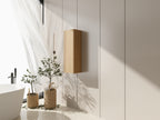 12 Inch Small Wall Mounted Side Cabinet