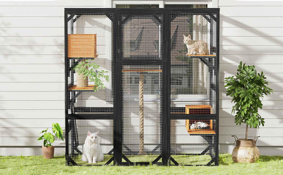 Outdoor Cat House with Double Entry Doors