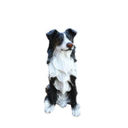 Outdoor Garden Border Collie Dog Statue Greeter