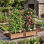 Raised Garden Bed with Trellis 2 Pack