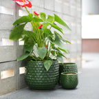 Handmade Glazed Ceramic Planter Set of 3