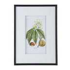 19.7x27.6" Botanical Wall Art Set of 2