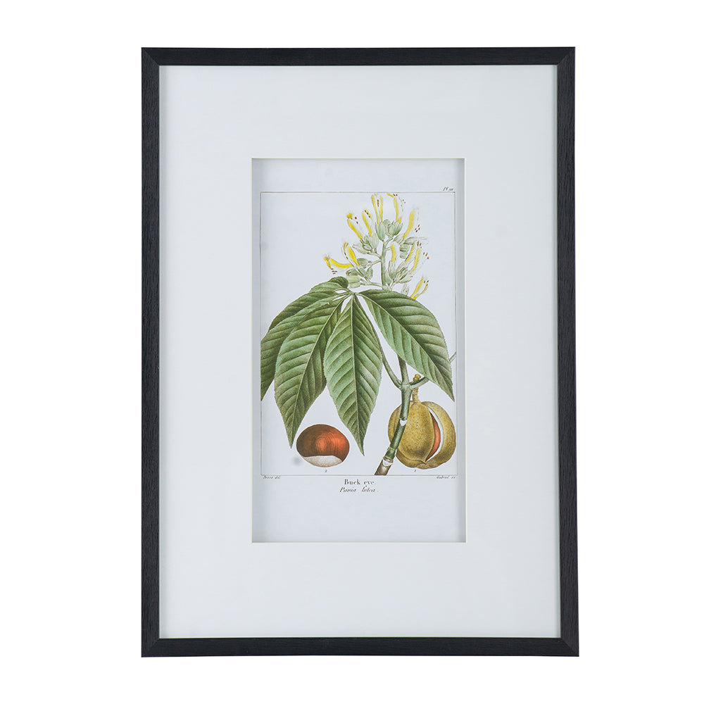 19.7x27.6" Botanical Wall Art Set of 2