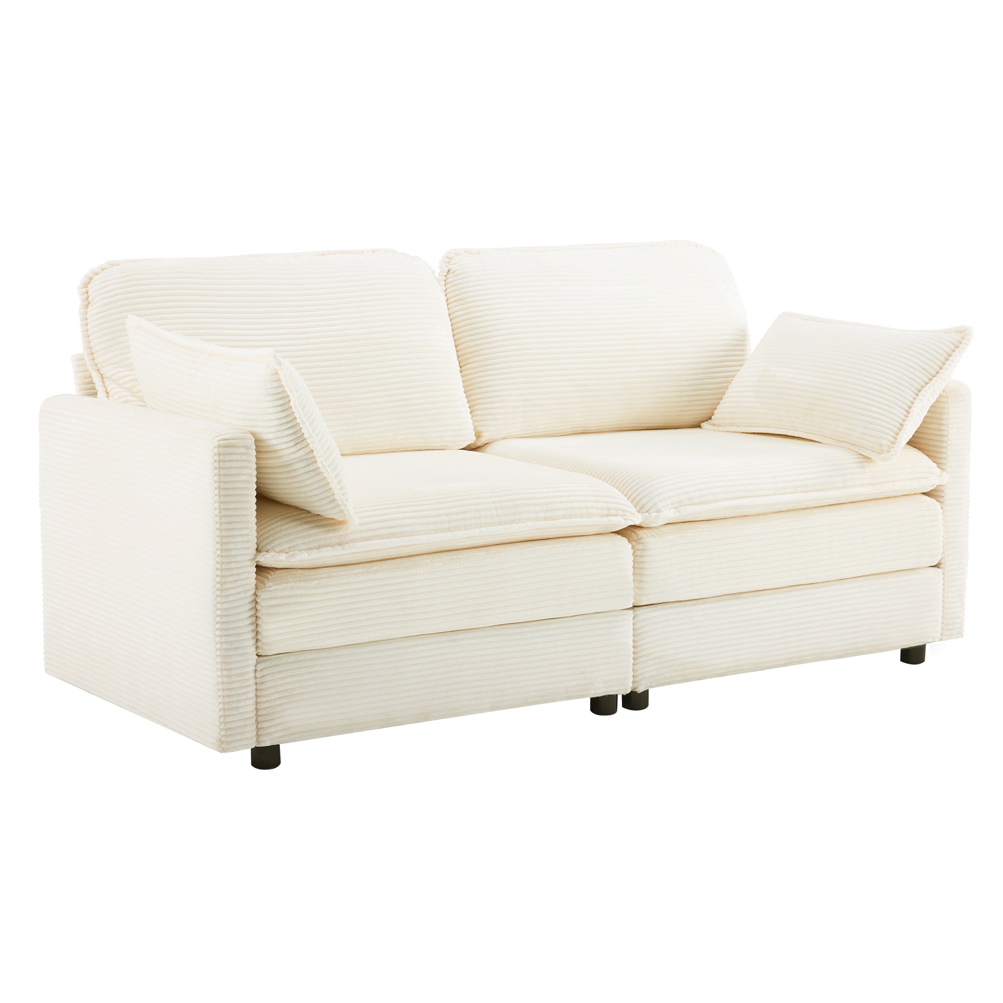 69" Plush Cloud Loveseat: Modular 2-Seater Sectional Sofa
