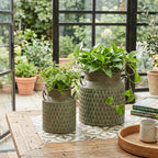S/2 Iron Milk Jug Planters with Textured Finish