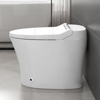 Smart Toilet with Built-in Heated Seat