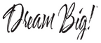 Dream Big Twin Pack Bed Pillows