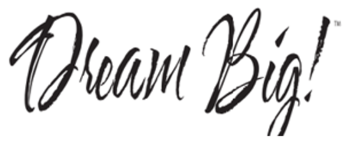 Dream Big Twin Pack Bed Pillows