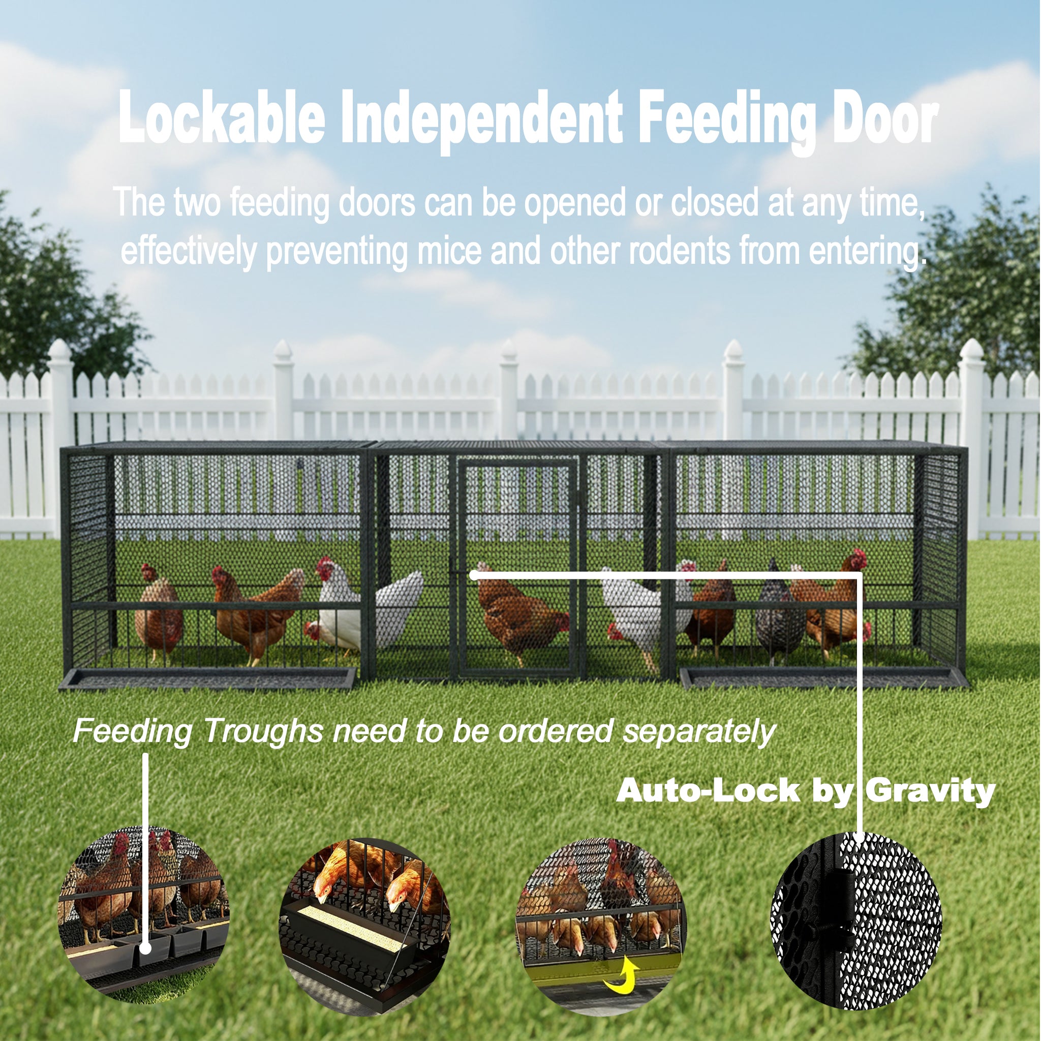 Durable Outdoor Chicken Coop