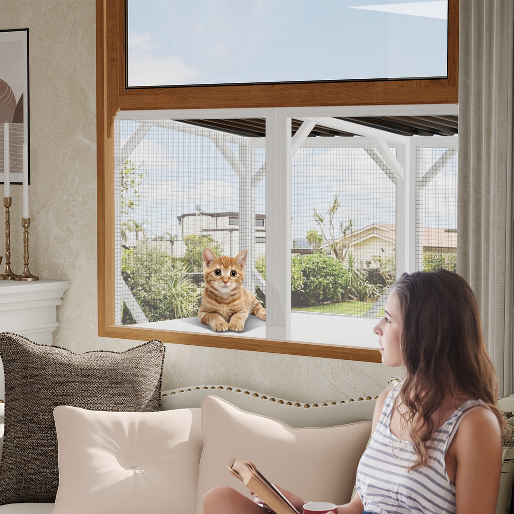 Cat Window Box for Large Indoor Cats