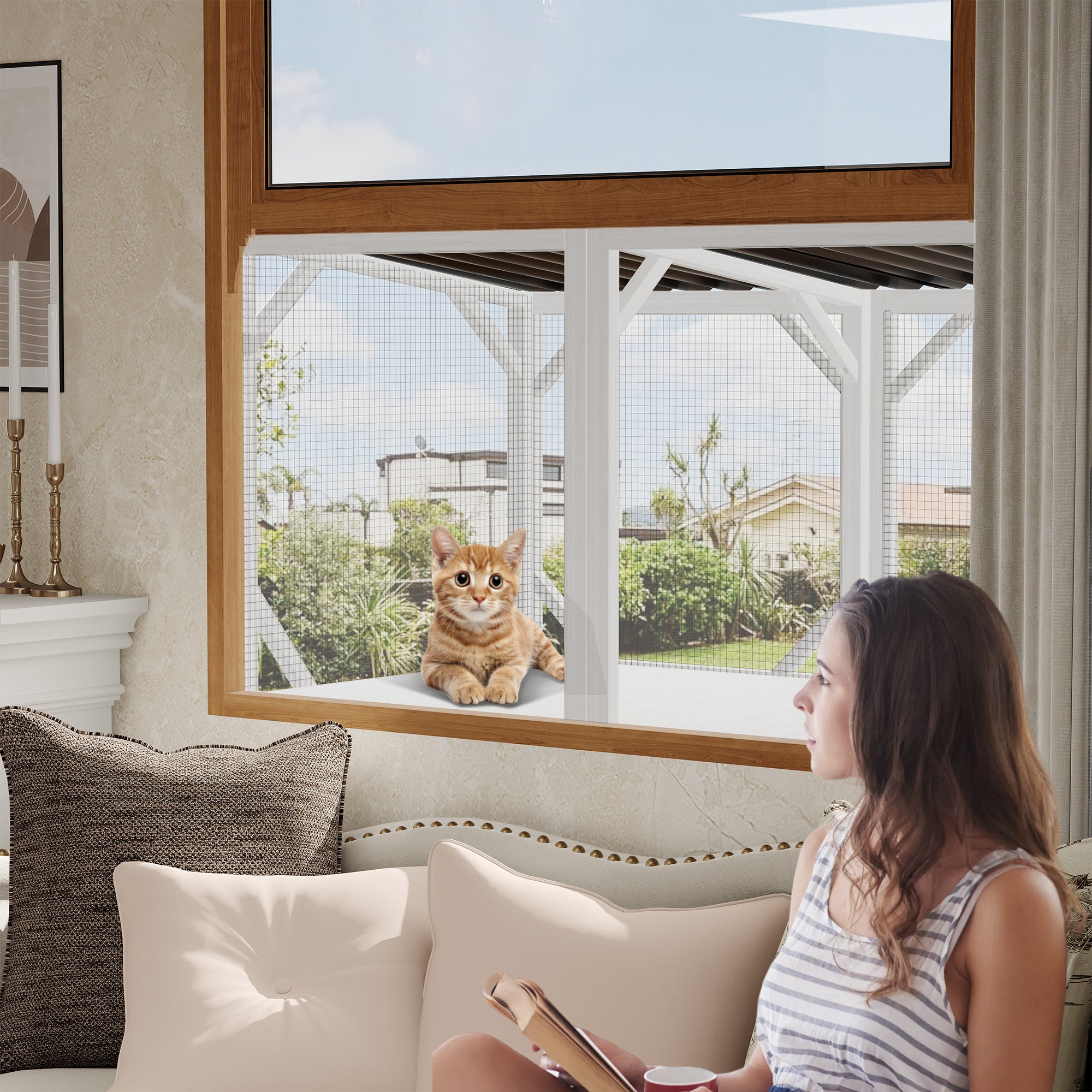 Cat Window Box for Large Indoor Cats