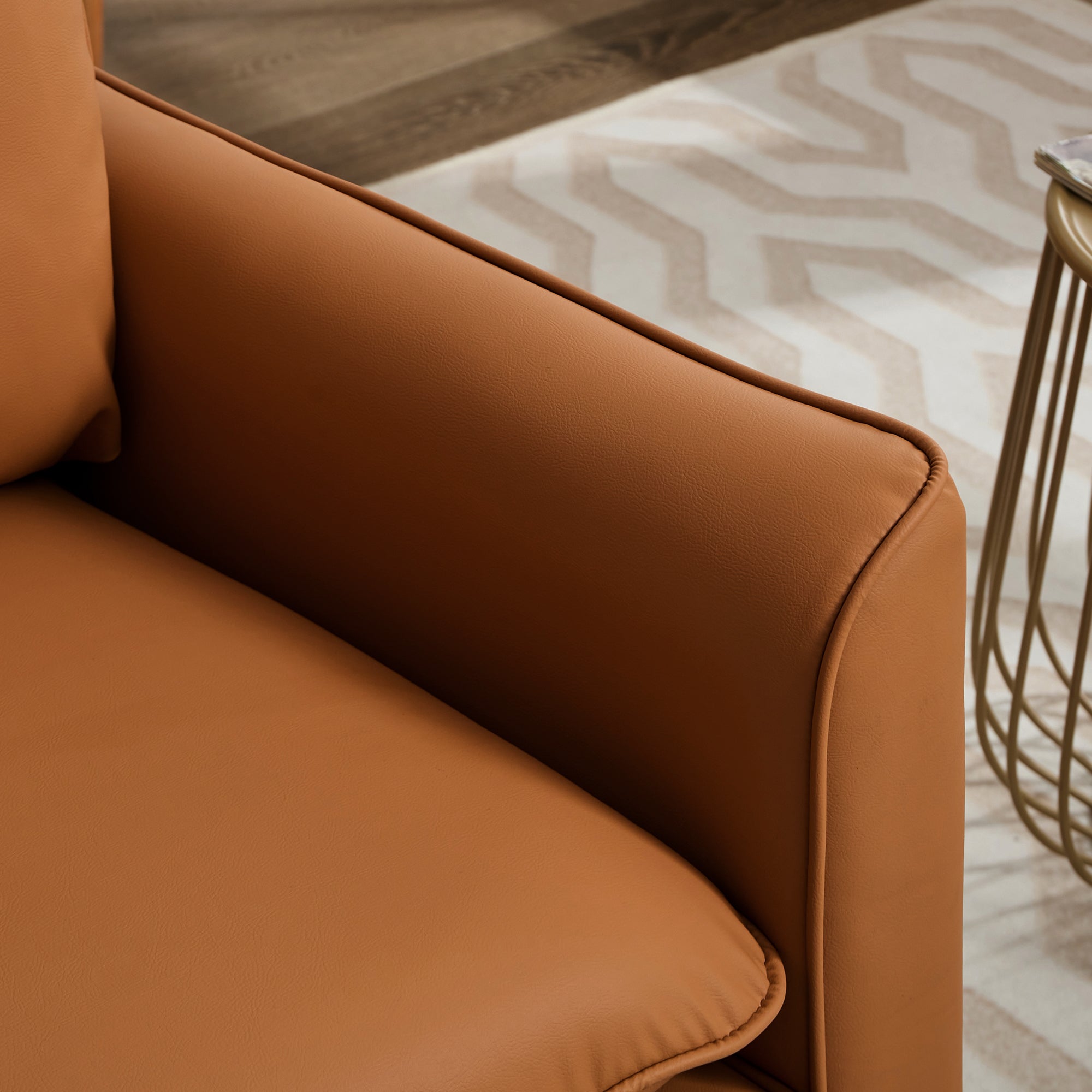 TS Cat Paw Leather Upholstered Sofa 2PC Set