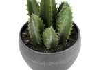 Artificial Succulent Plant Set of 3