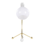 Eileen Contemporary Task Lamp