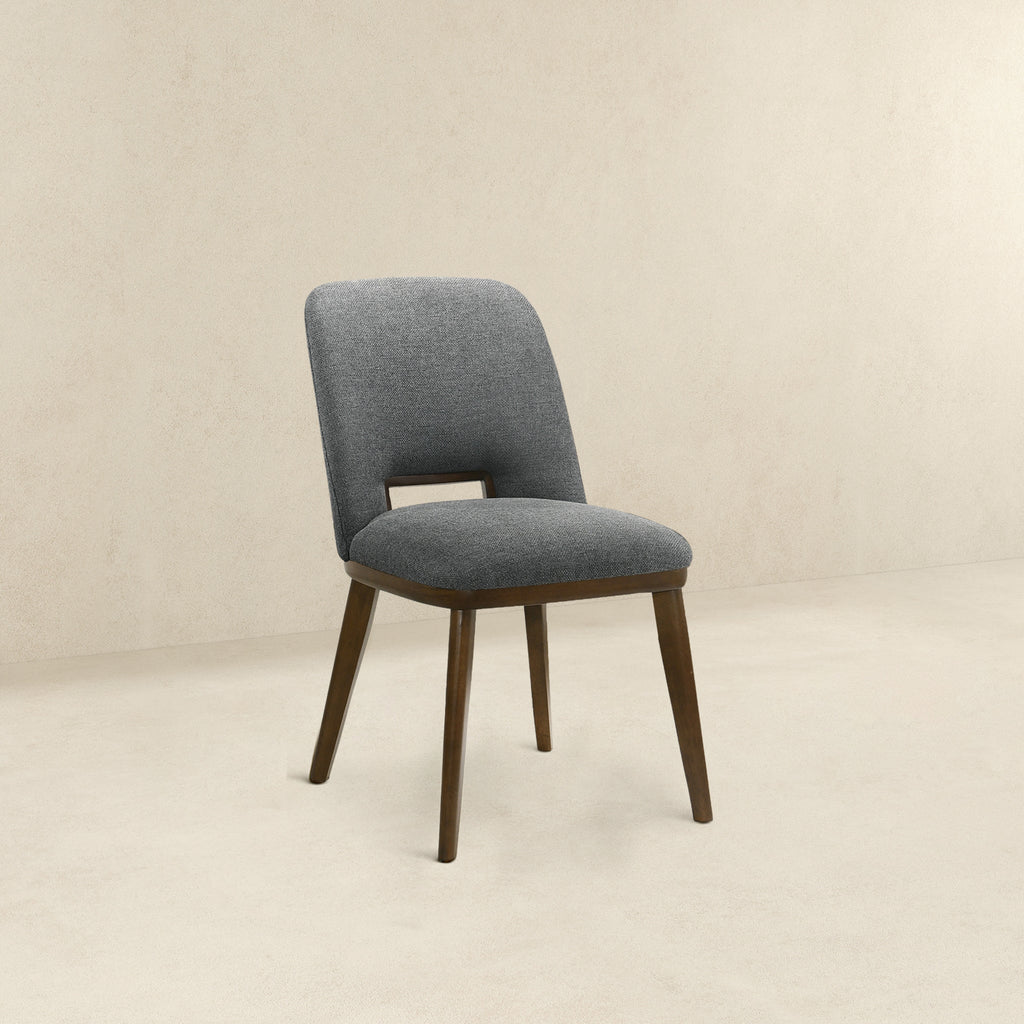 Modern Blake Dark Dining Chairs - Set of 2