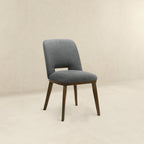 Modern Blake Dark Dining Chairs - Set of 2