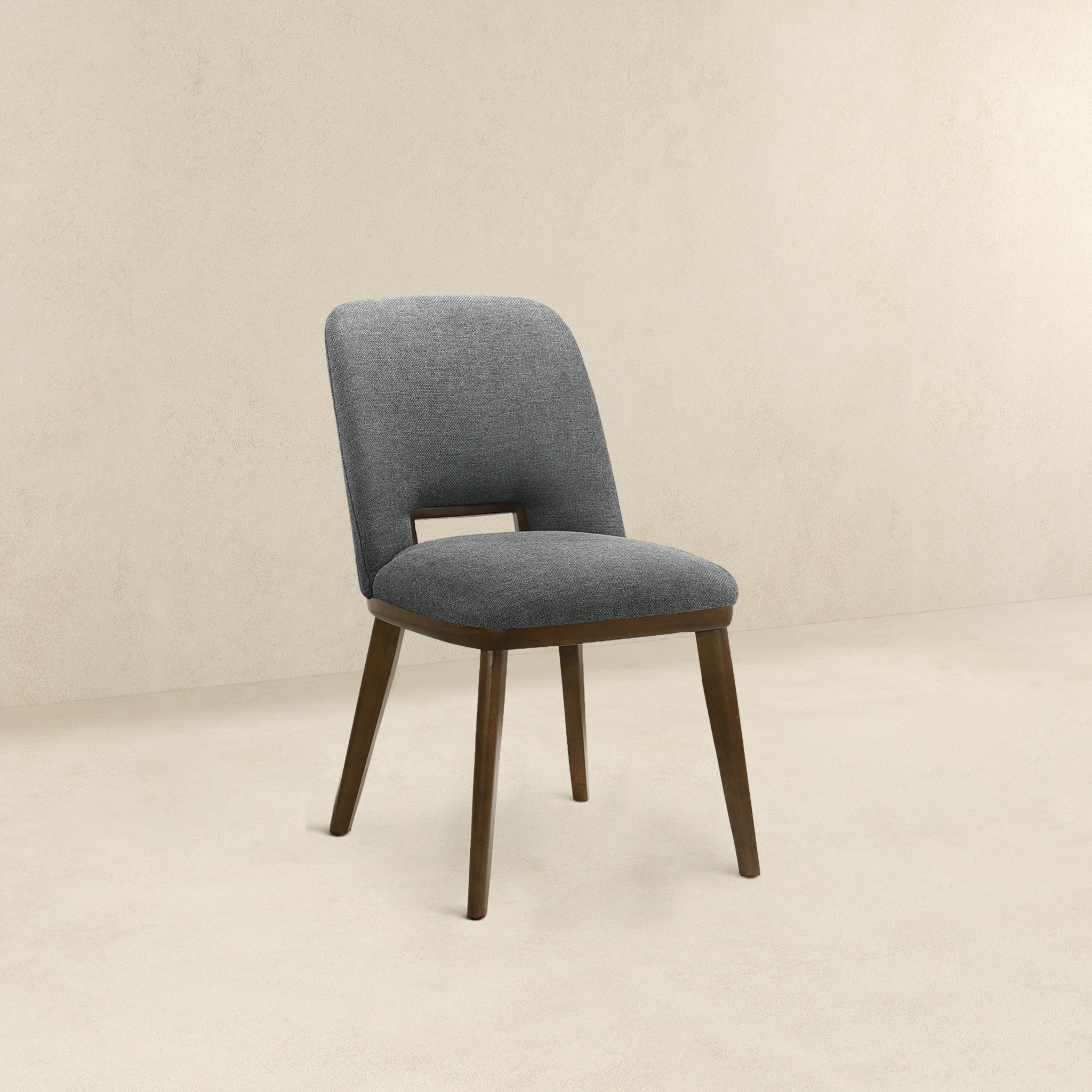 Modern Blake Dark Dining Chairs - Set of 2