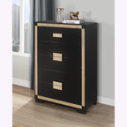 Lively Black/Gold Chest