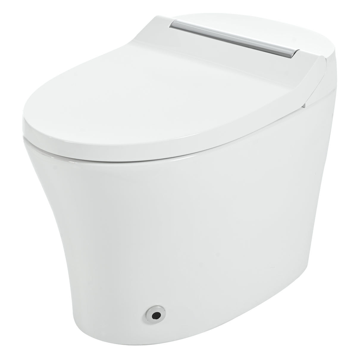 Smart Toilet with Built-in Heated Seat