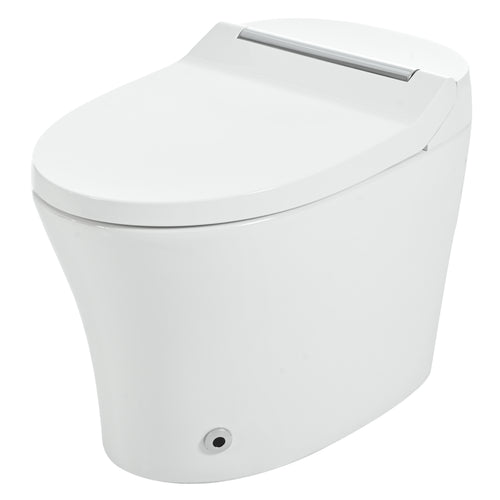 Smart Toilet with Built-in Heated Seat