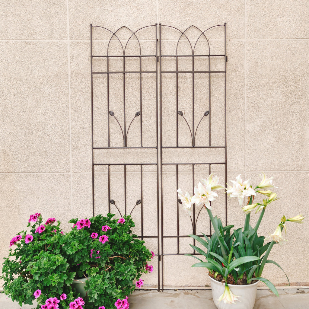 4 Pack Metal Garden Trellis 71" x 17.7"