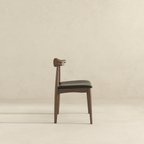 Destiny Modern Dining Chairs (Set of 2)