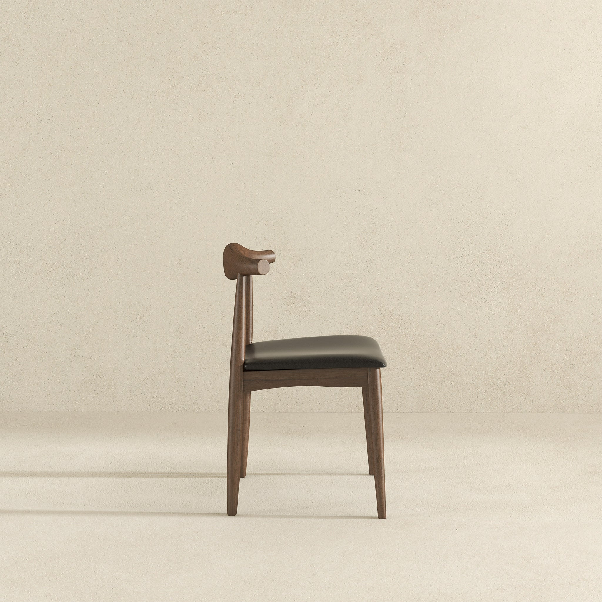 Destiny Modern Dining Chairs (Set of 2)
