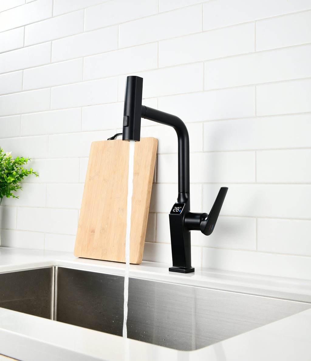 Touchless Matte Kitchen Faucet