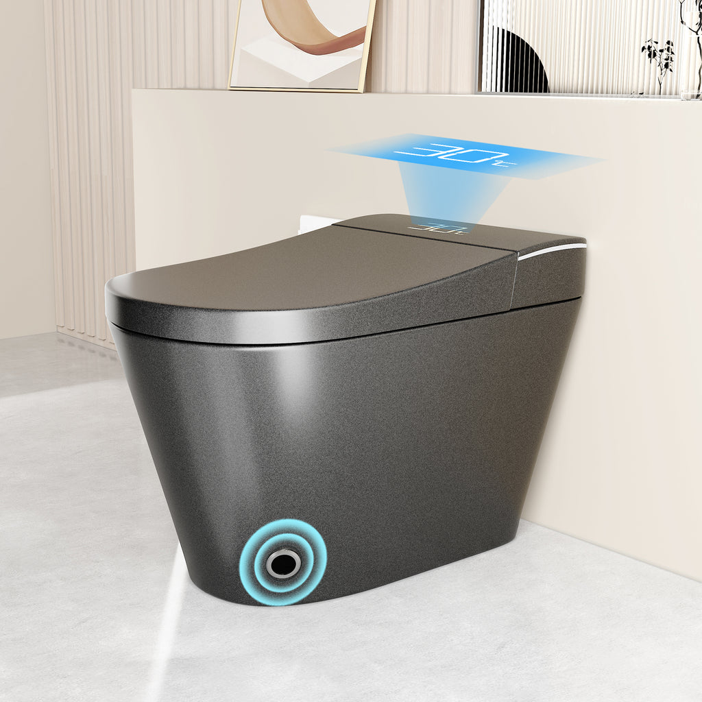 Unique Smart Toile with Integrated Bidet