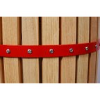 Solid Wood Fruit Wine Press for Home Juicing