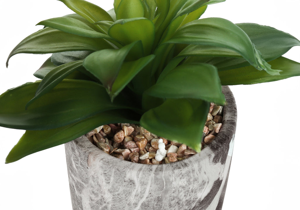 Artificial Plant Set of 2 - Indoor Succulent
