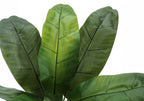 Artificial Banana Tree - 43" Tall Indoor Decorative Plant