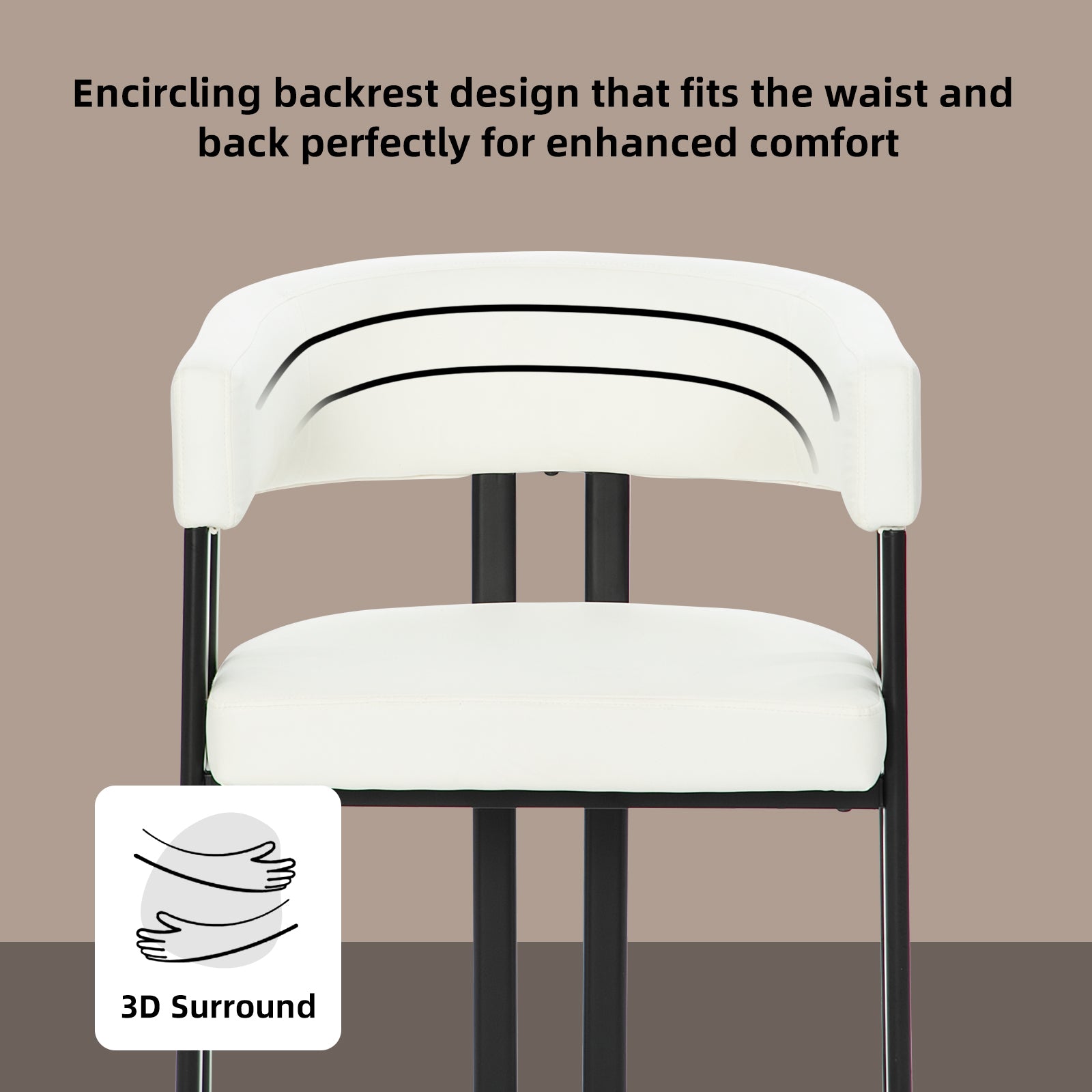 Modern Dining Chairs Set of 2