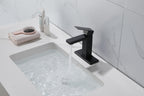 Single Handle Bathroom Sink Faucet with Pop-Up Drain
