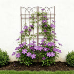 2 Pack Metal Garden Trellis