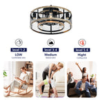 20'' Cage Ceiling Fan With Remote Control