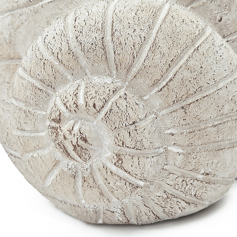 Decorative Planter with Snail Design