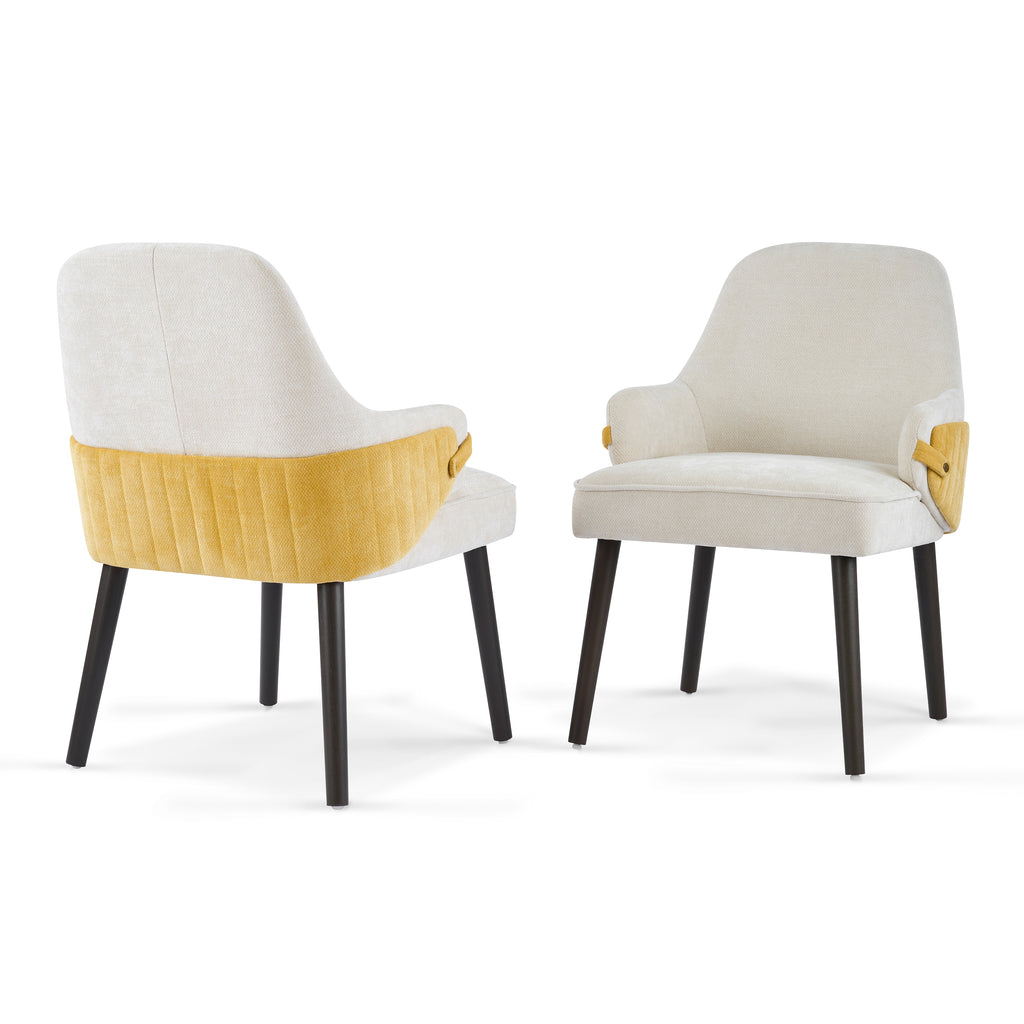 Indoor Dining Chair Set of 2