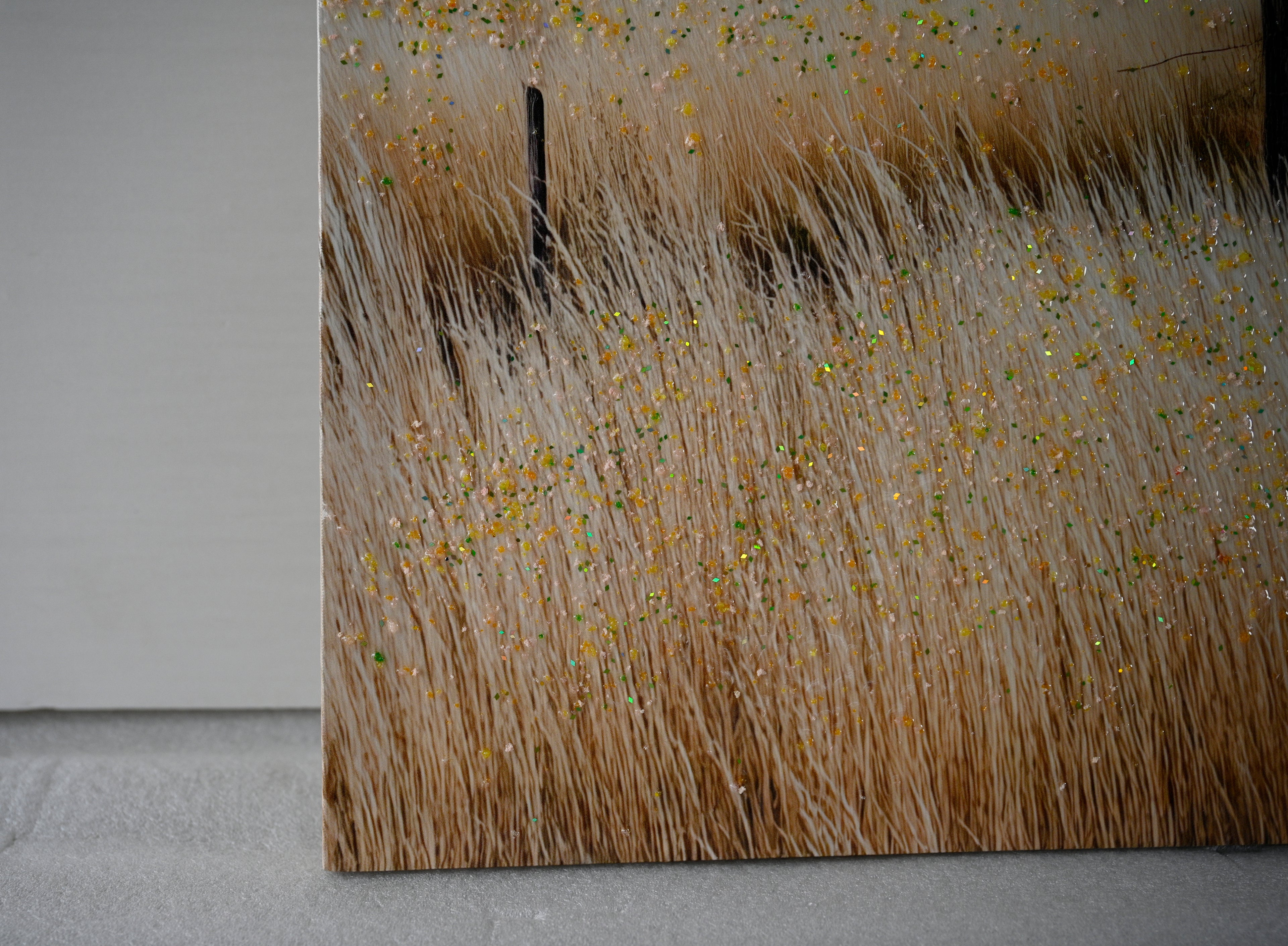 Farmhouse Canvas Wall Art: Framed