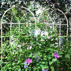 2 Pack Metal Garden Trellis 71" x 19.7"