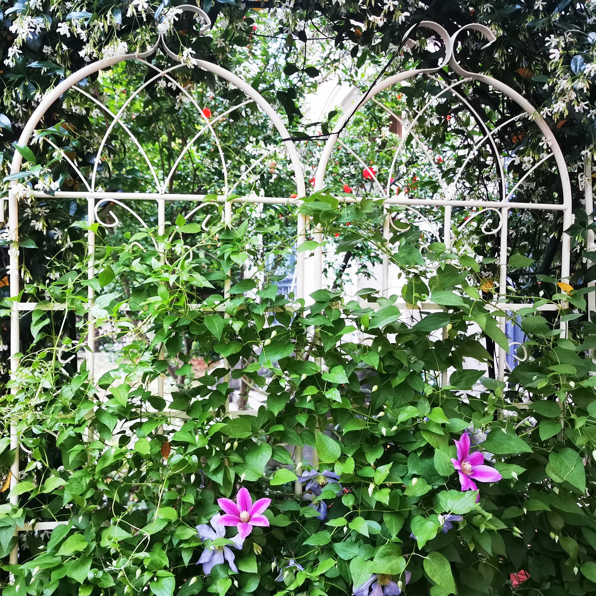 2 Pack Metal Garden Trellis 71" x 19.7"