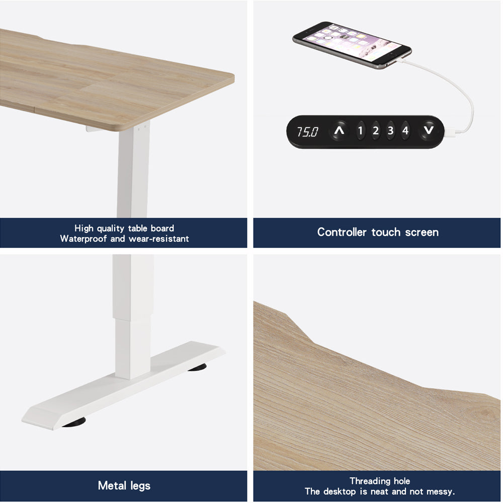 55"×24" Light Adjustable Electric Standing Desk