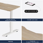 55"×24" Light Adjustable Electric Standing Desk