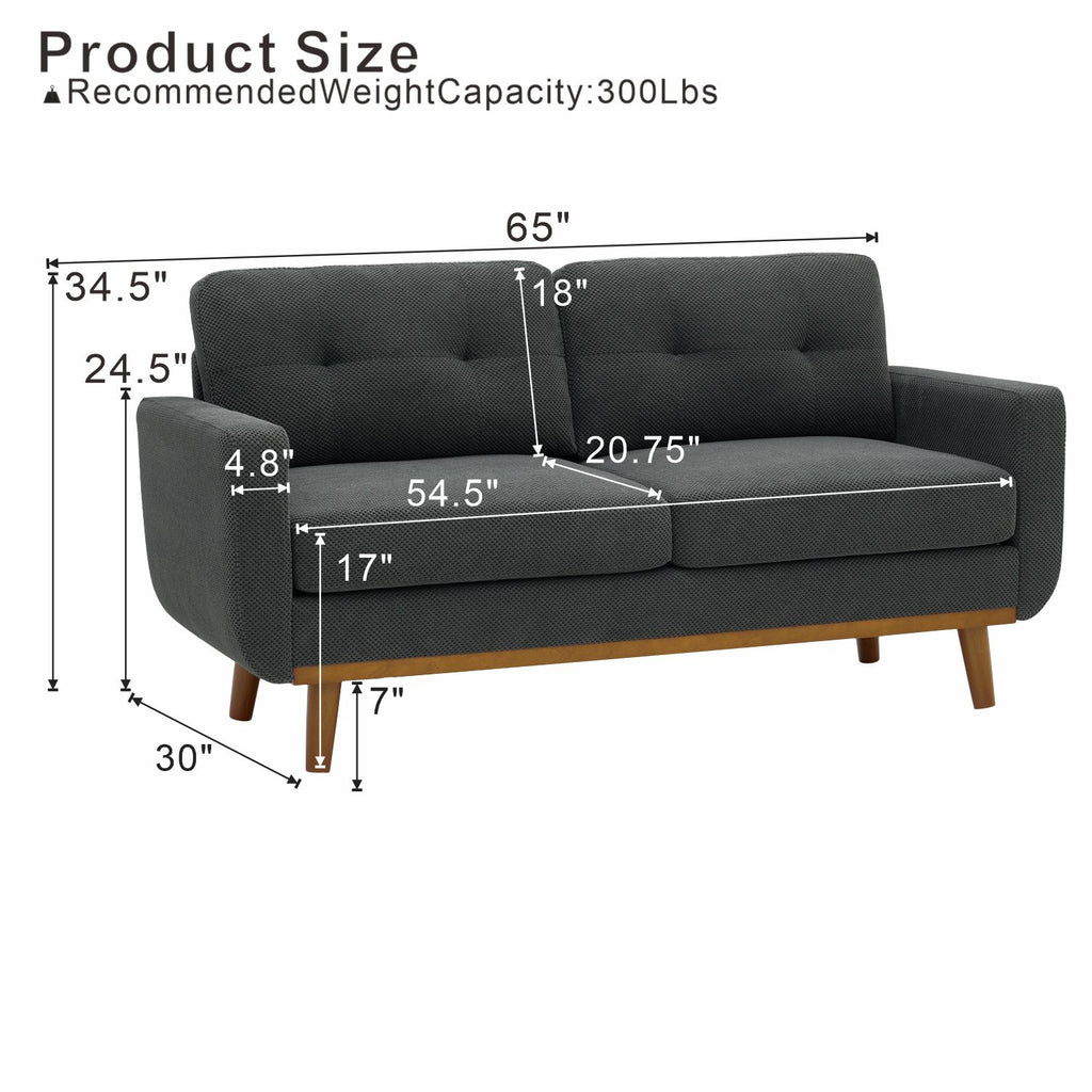 65-Inch Modern Minimalist Two-Seater Sofa