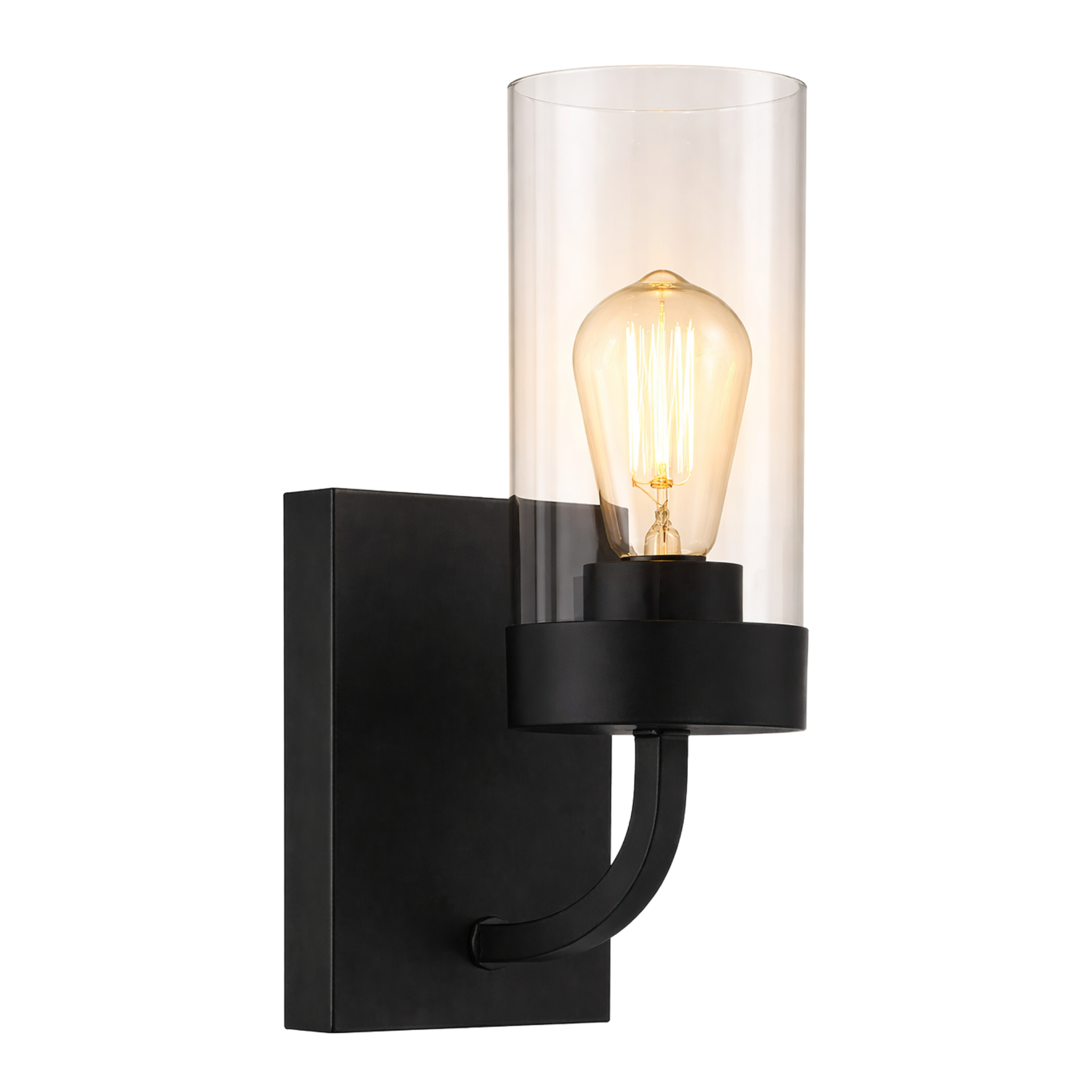 Zephyr Single Light Sconce With Clear Glass Metal