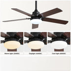 Low Profile 42 Inch Ceiling Fan With LED Light
