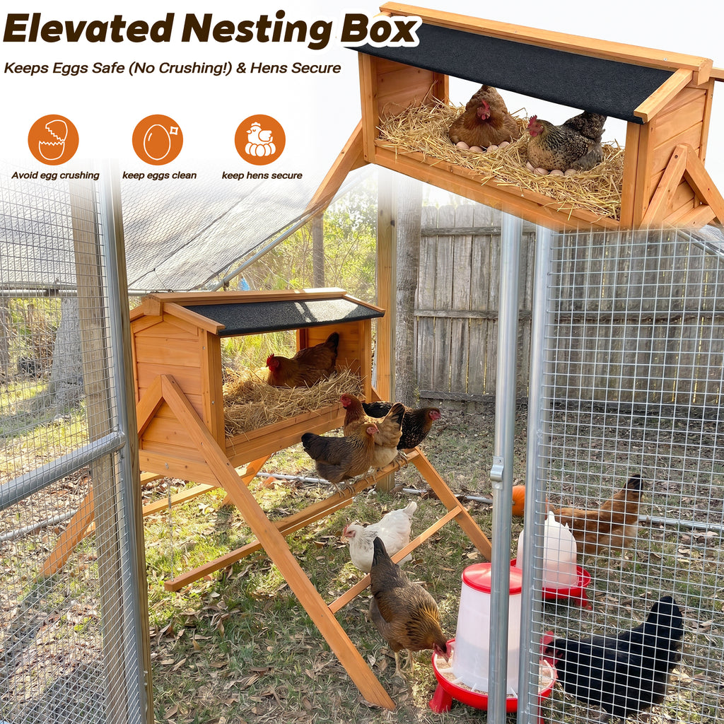 Chicken Nesting Box with Asphalt Roofing